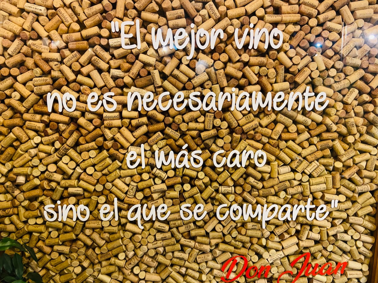 El mejor vino no es necesariamente el más caro sino el que se comparte